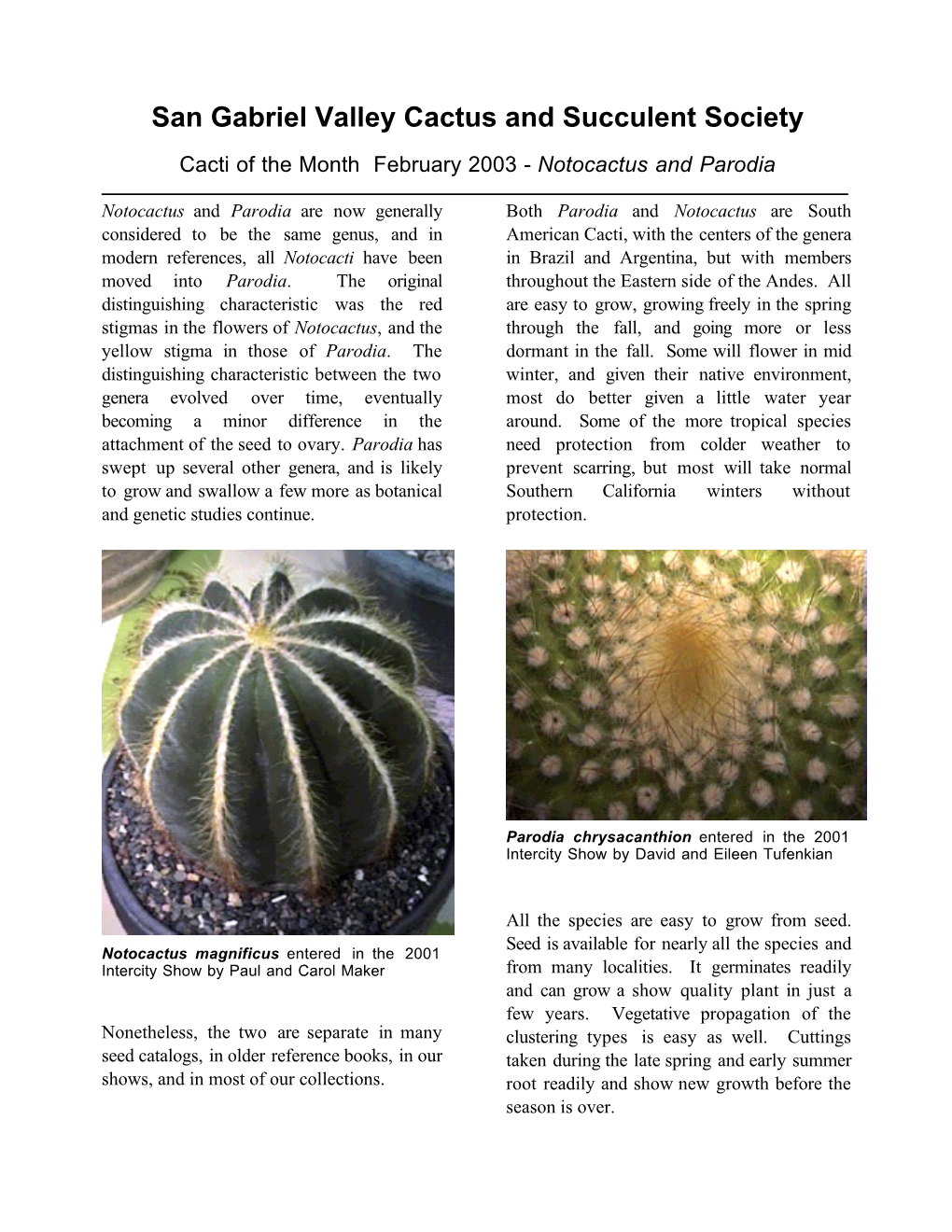 Cactus of the Month