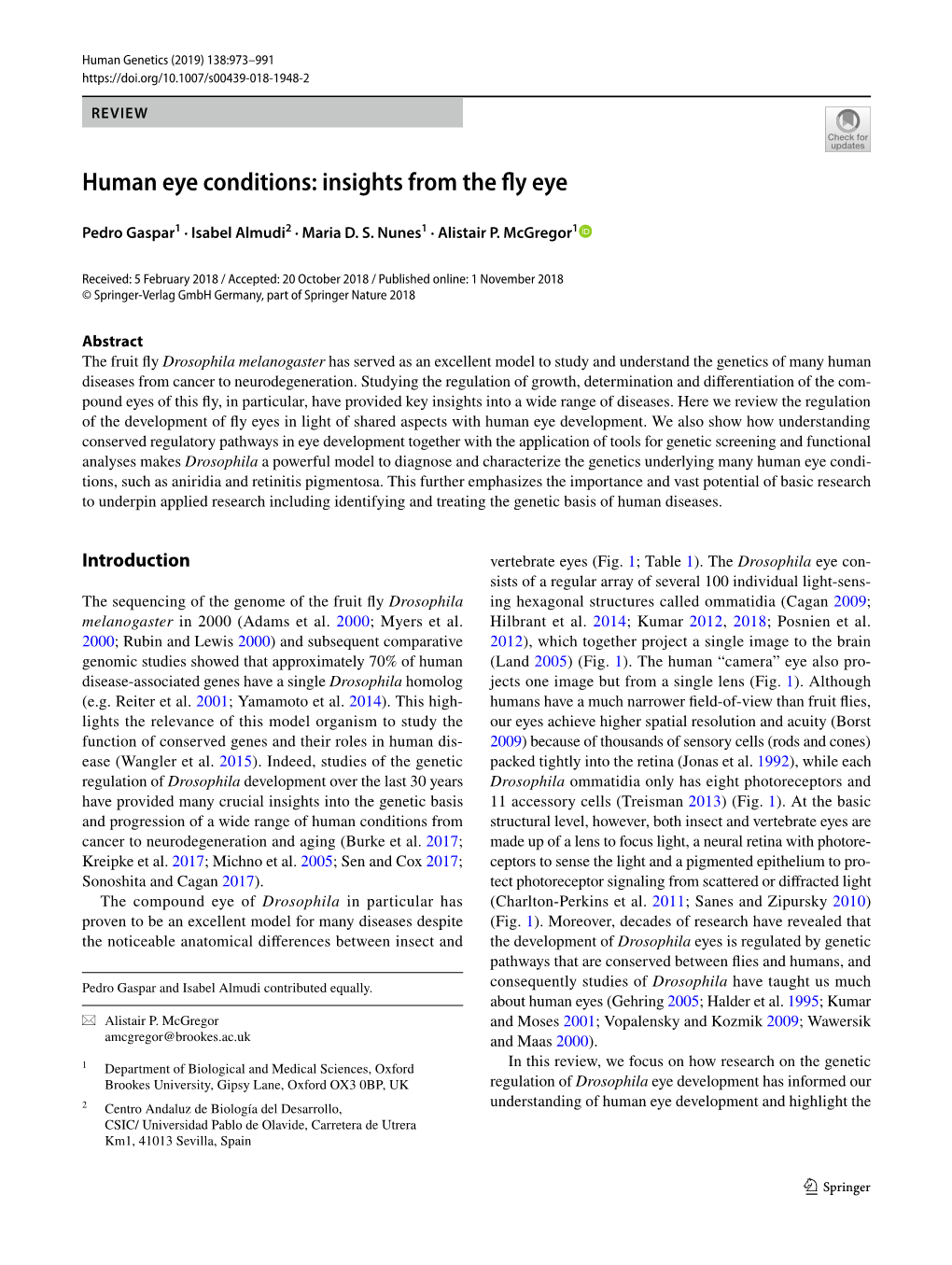 Human Eye Conditions: Insights from the Fly