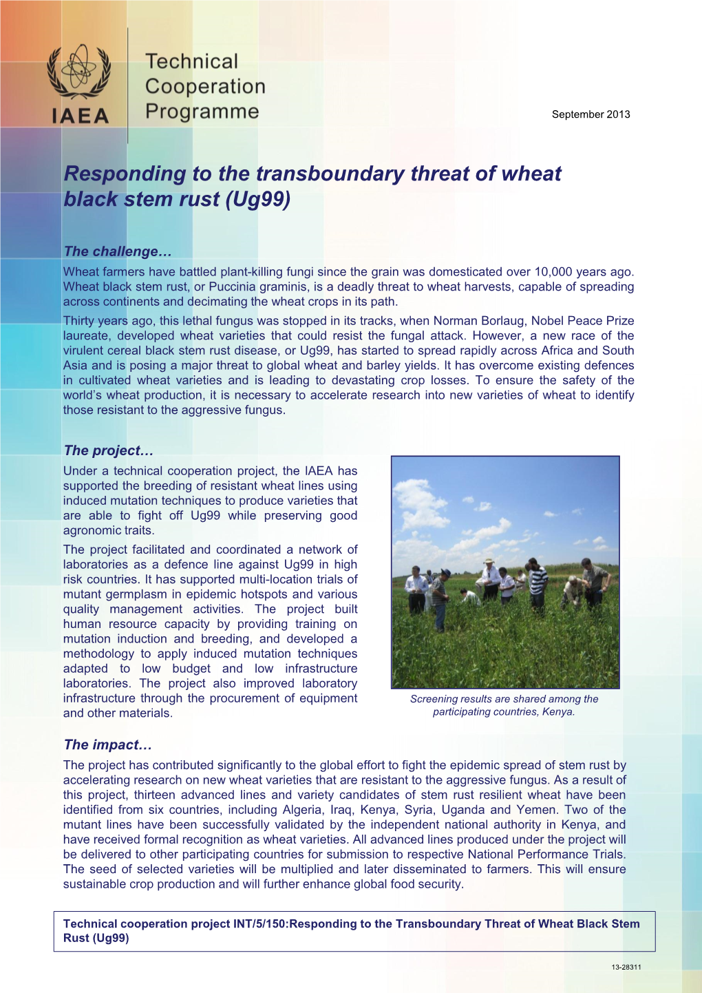 Responding to the Transboundary Threat of Wheat Black Stem Rust (Ug99)