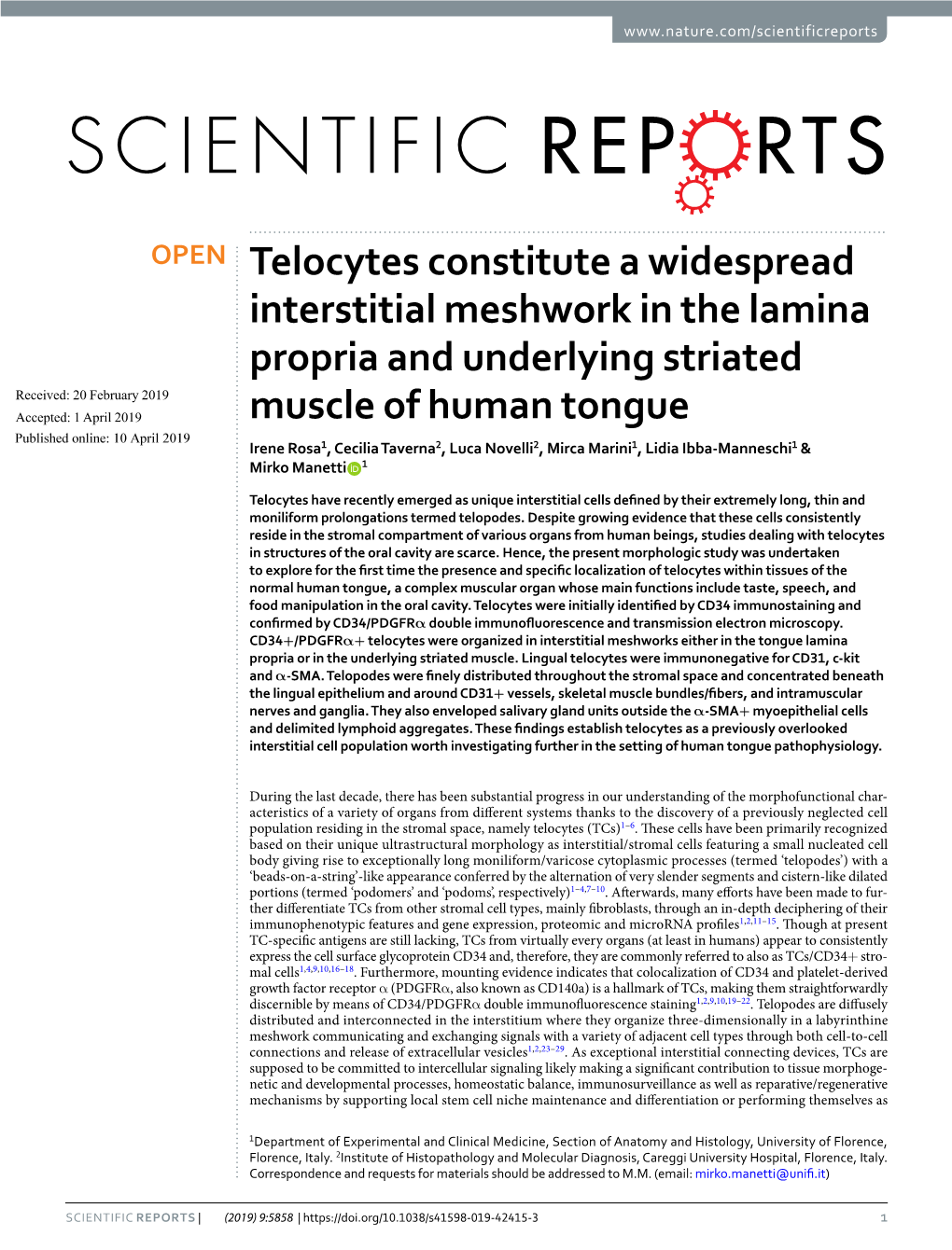 Telocytes Constitute a Widespread Interstitial Meshwork in the Lamina Propria and Underlying Striated Muscle of Human Tongue