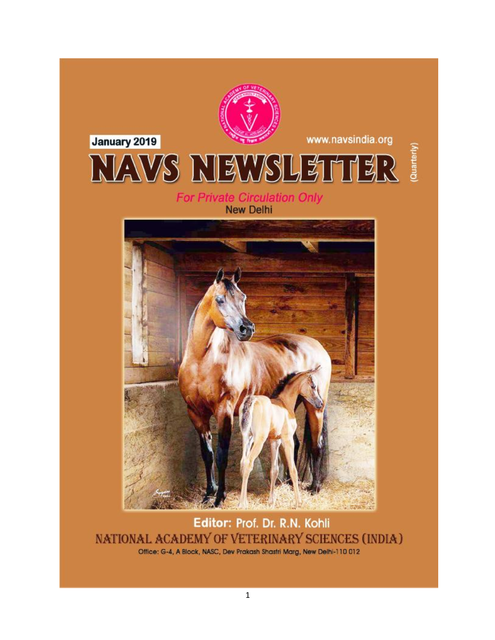 Navs Newsletter January, 2019