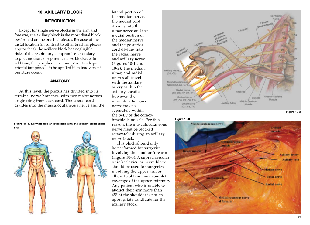 Chapter 10 – Axillary Block