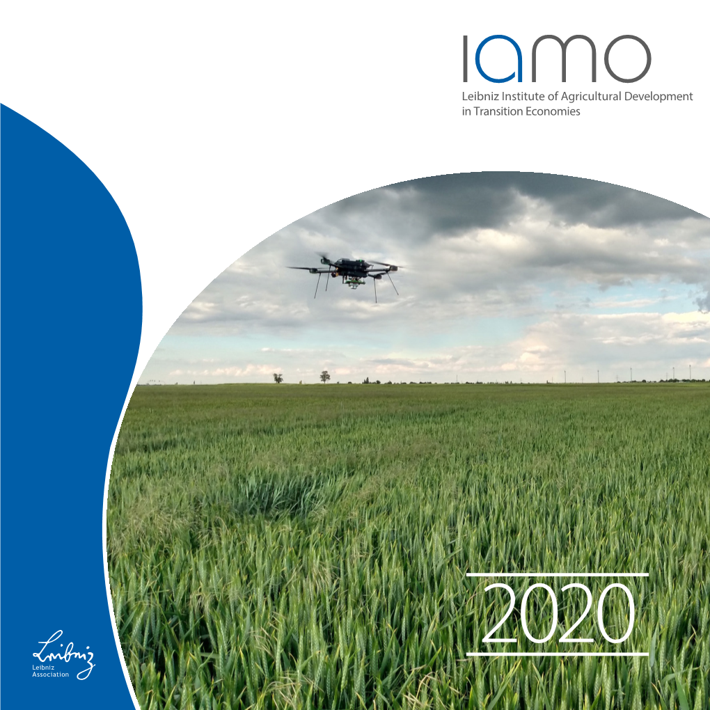 IAMO Annual 2020 English Version