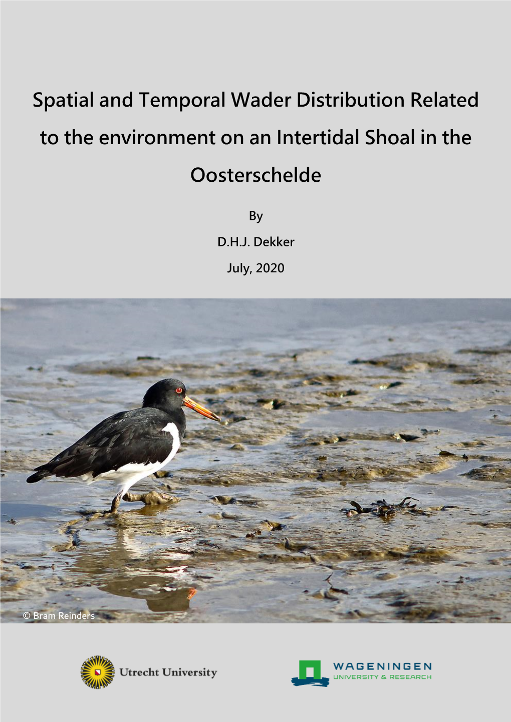 Spatial and Temporal Wader Distribution Related to the Environment on an Intertidal Shoal in the Oosterschelde