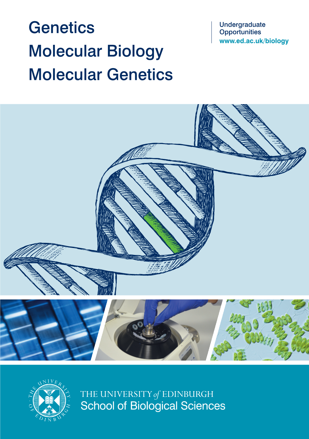 Genetics Molecular Biology Molecular Genetics