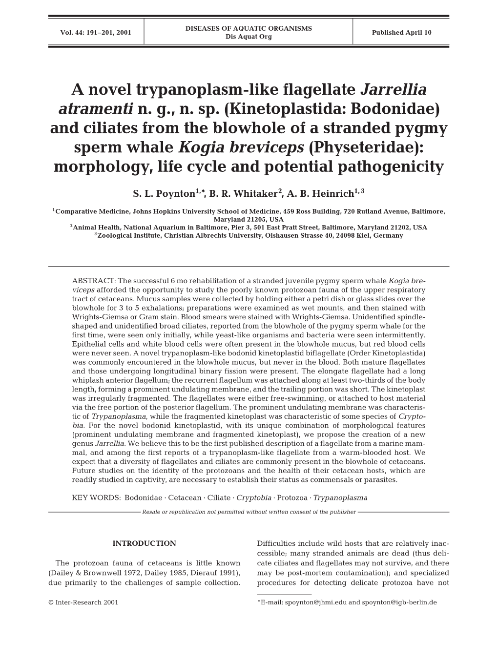 A Novel Trypanoplasm-Like Flagellate Jarrellia Atramenti Ng, N. Sp