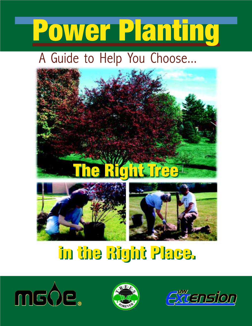 Power Planting a Guide to Help You Choose