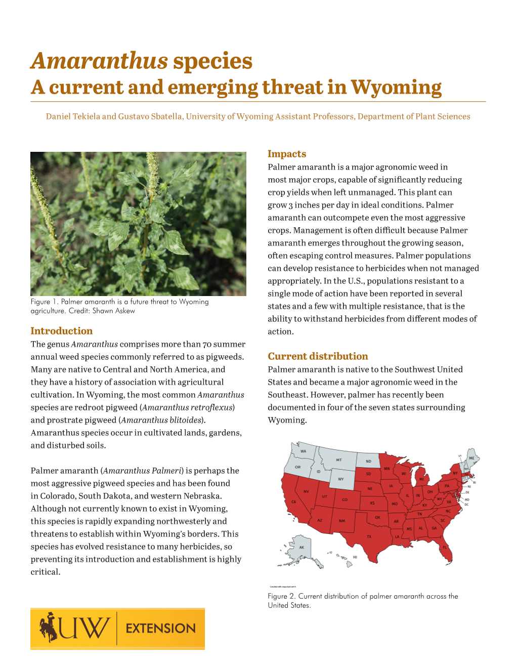Amaranthus Species a Current and Emerging Threat in Wyoming