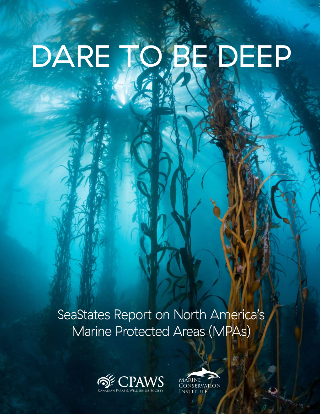 Dare to Be Deep: Seastates Report on North America's Marine