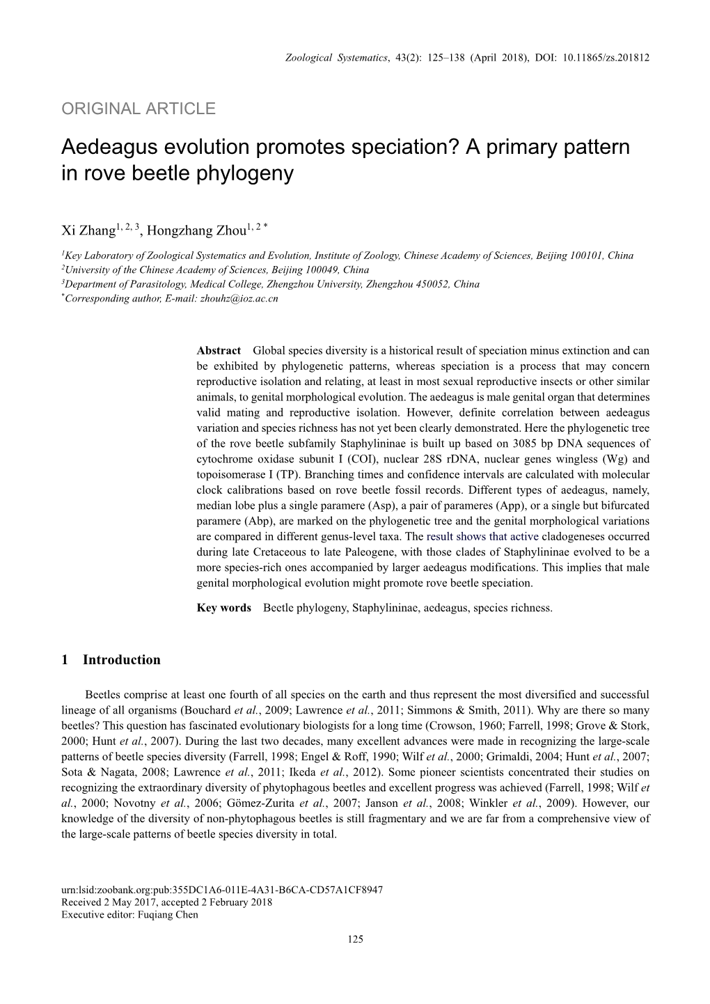 Aedeagus Evolution Promotes Speciation? a Primary Pattern in Rove Beetle Phylogeny