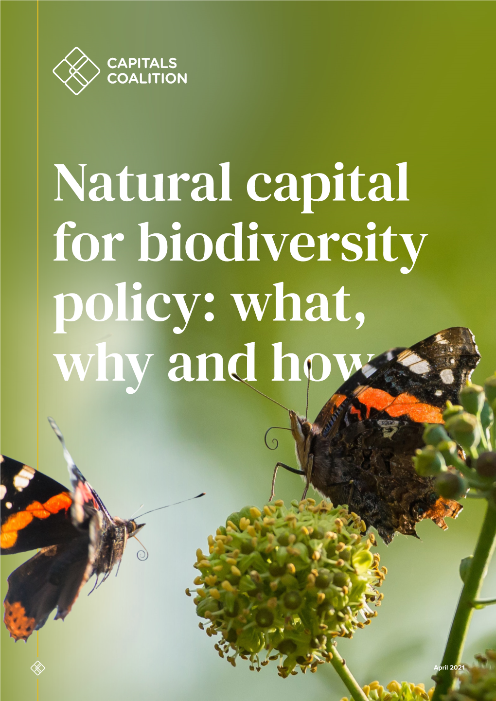 Natural Capital for Biodiversity Policy: What, Why and How