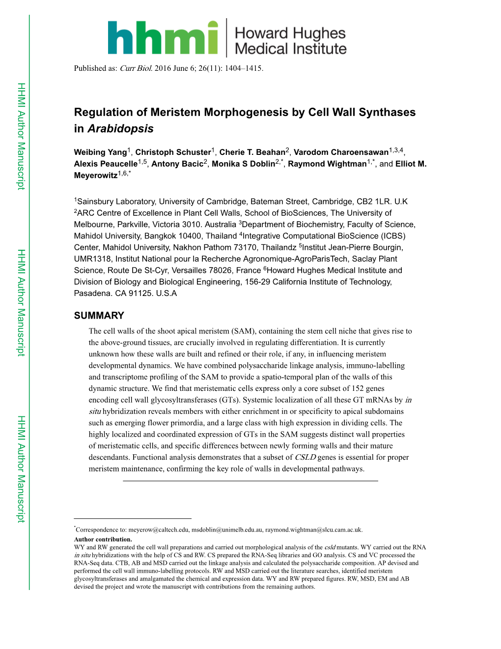 Regulation of Meristem Morphogenesis by Cell Wall Synthases in Arabidopsis