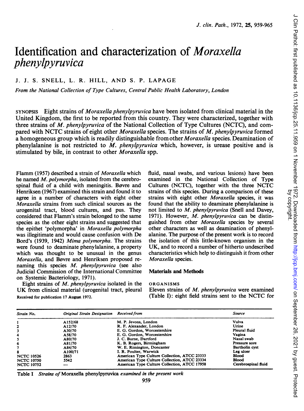 Identification and Characterization of Moraxella Phenylpyruvica