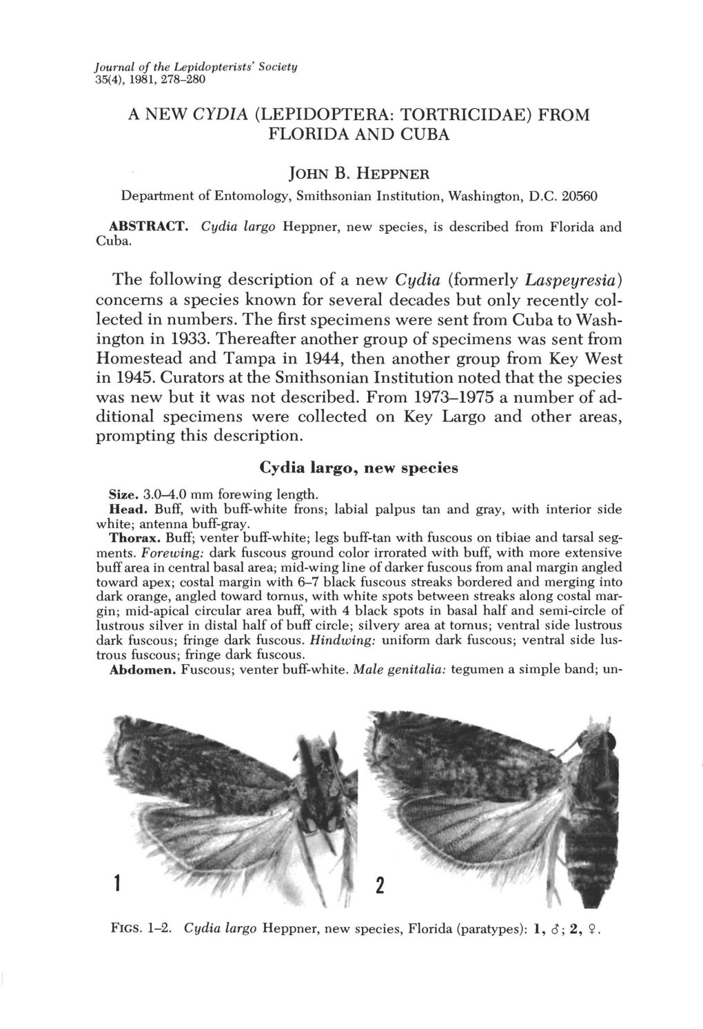 A New Cydia (Lepidoptera: Tortricidae) from Florida and Cuba