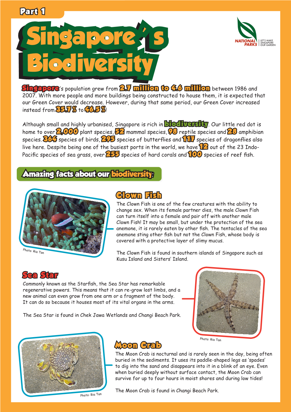 Amazing Facts About Our Biodiversity: Clown Fish Moon Crab Sea Star