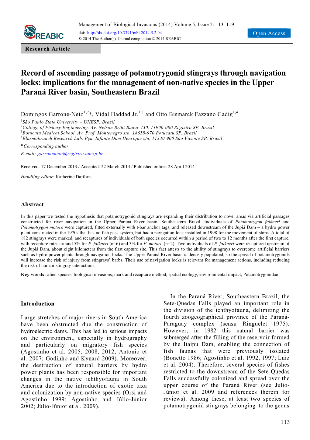 Record of Ascending Passage of Potamotrygonid Stingrays