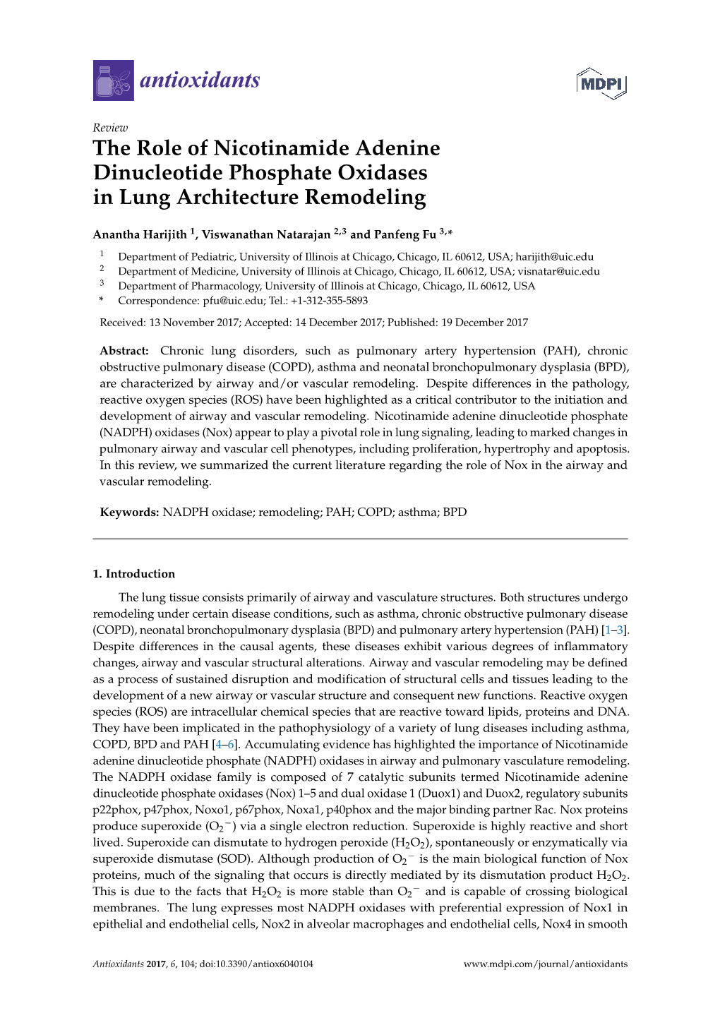 The Role of Nicotinamide Adenine Dinucleotide Phosphate Oxidases in Lung Architecture Remodeling