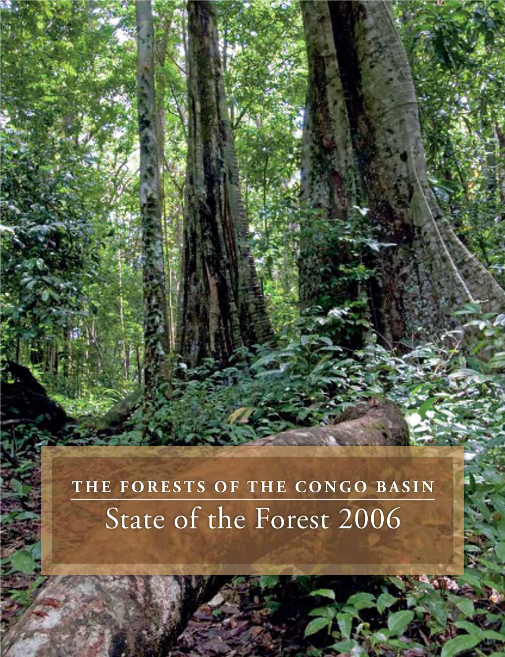 State of the Forest 2006 the FORESTS of the CONGO BASIN