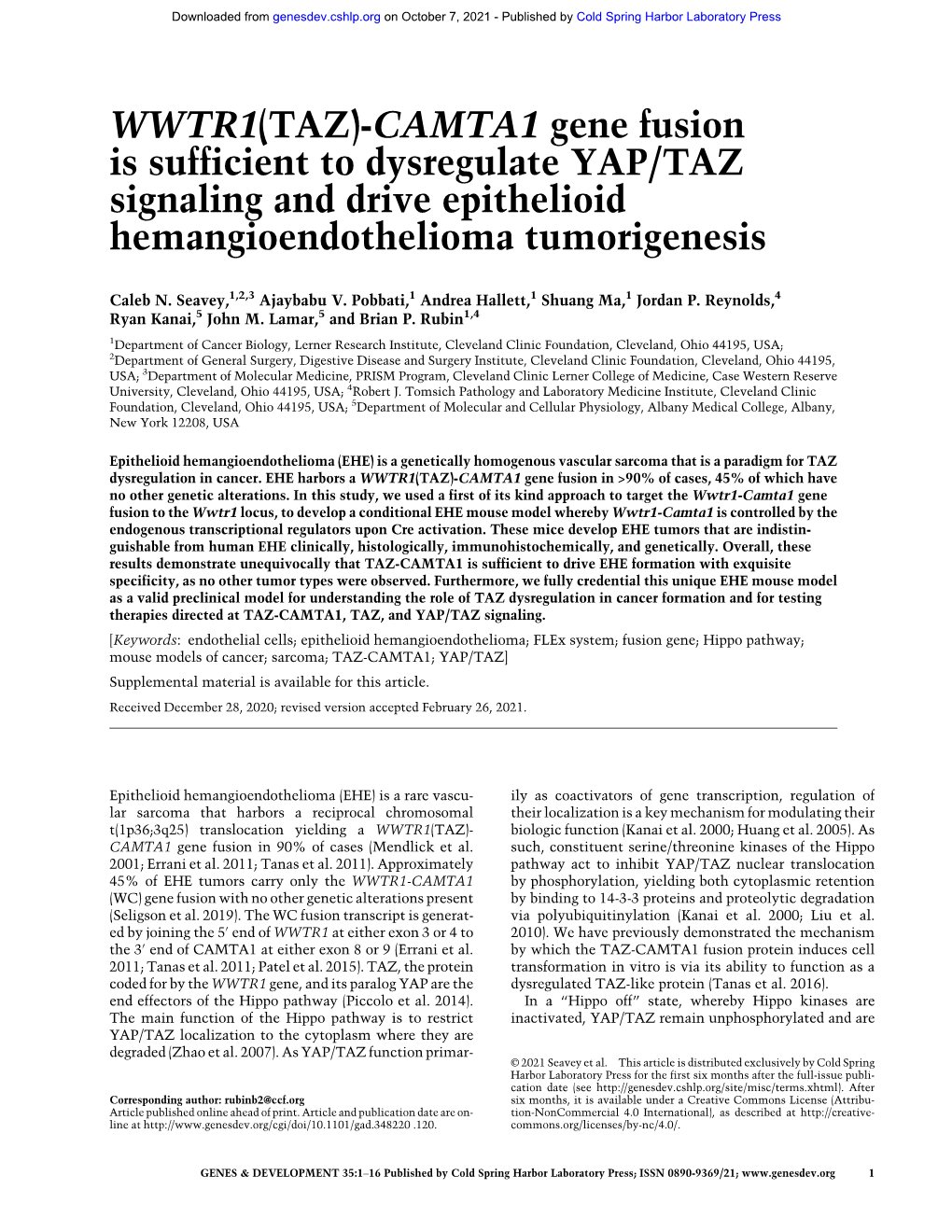 WWTR1(TAZ)-CAMTA1 Gene Fusion Is Sufficient to Dysregulate YAP/TAZ Signaling and Drive Epithelioid Hemangioendothelioma Tumorigenesis