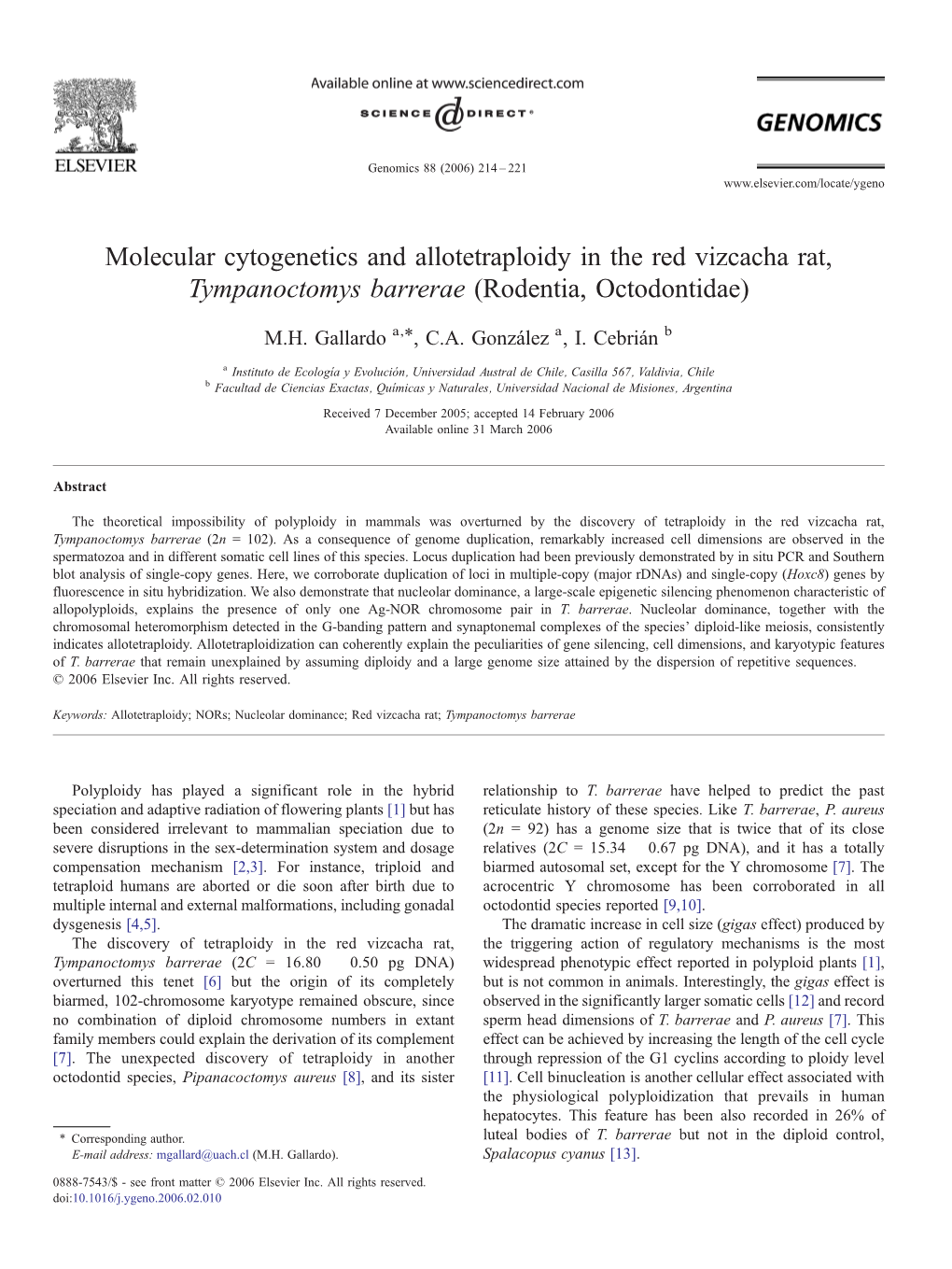 Molecular Cytogenetics and Allotetraploidy in the Red Vizcacha Rat, Tympanoctomys Barrerae (Rodentia, Octodontidae) ⁎ M.H