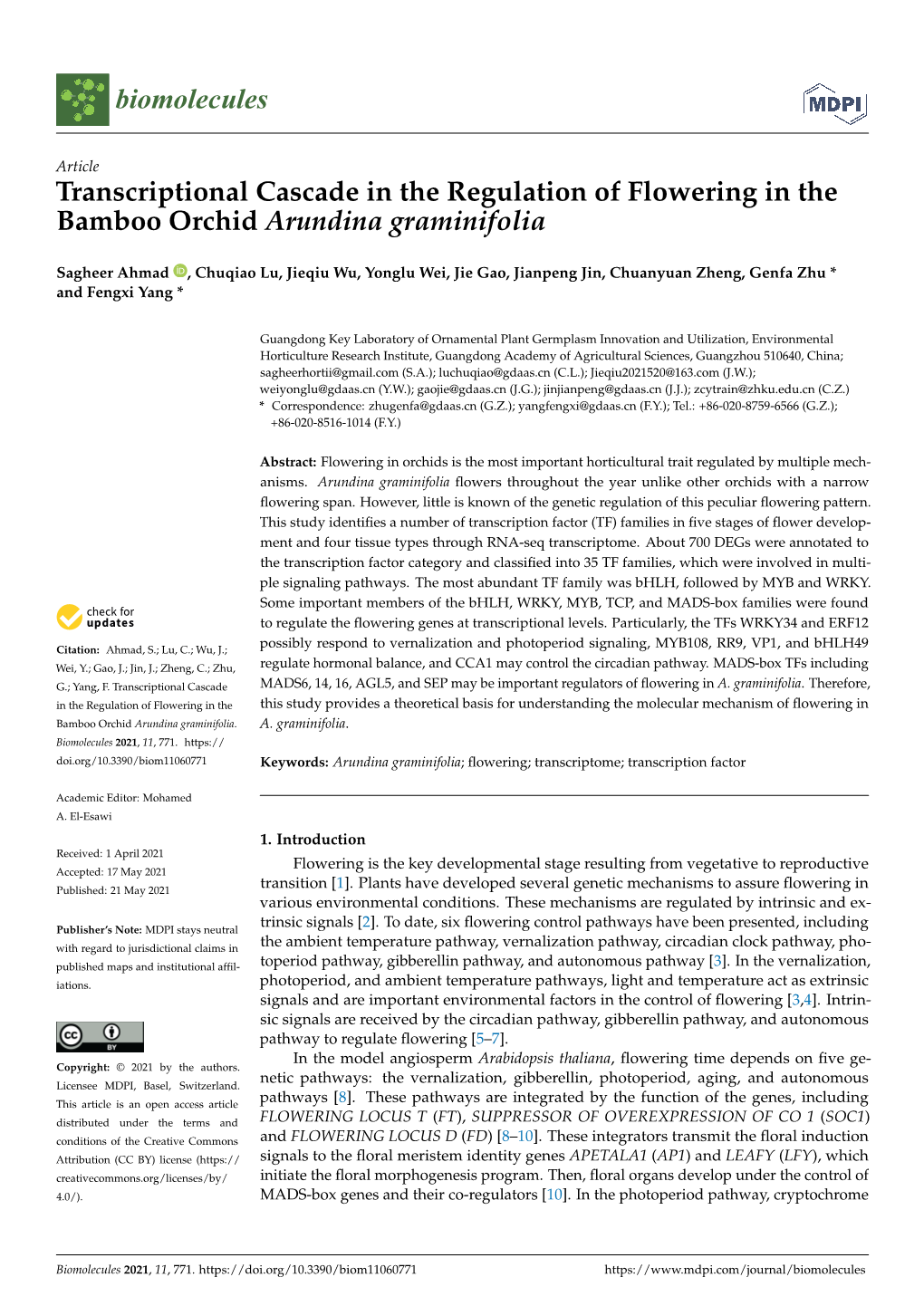 Transcriptional Cascade in the Regulation of Flowering in the Bamboo Orchid Arundina Graminifolia