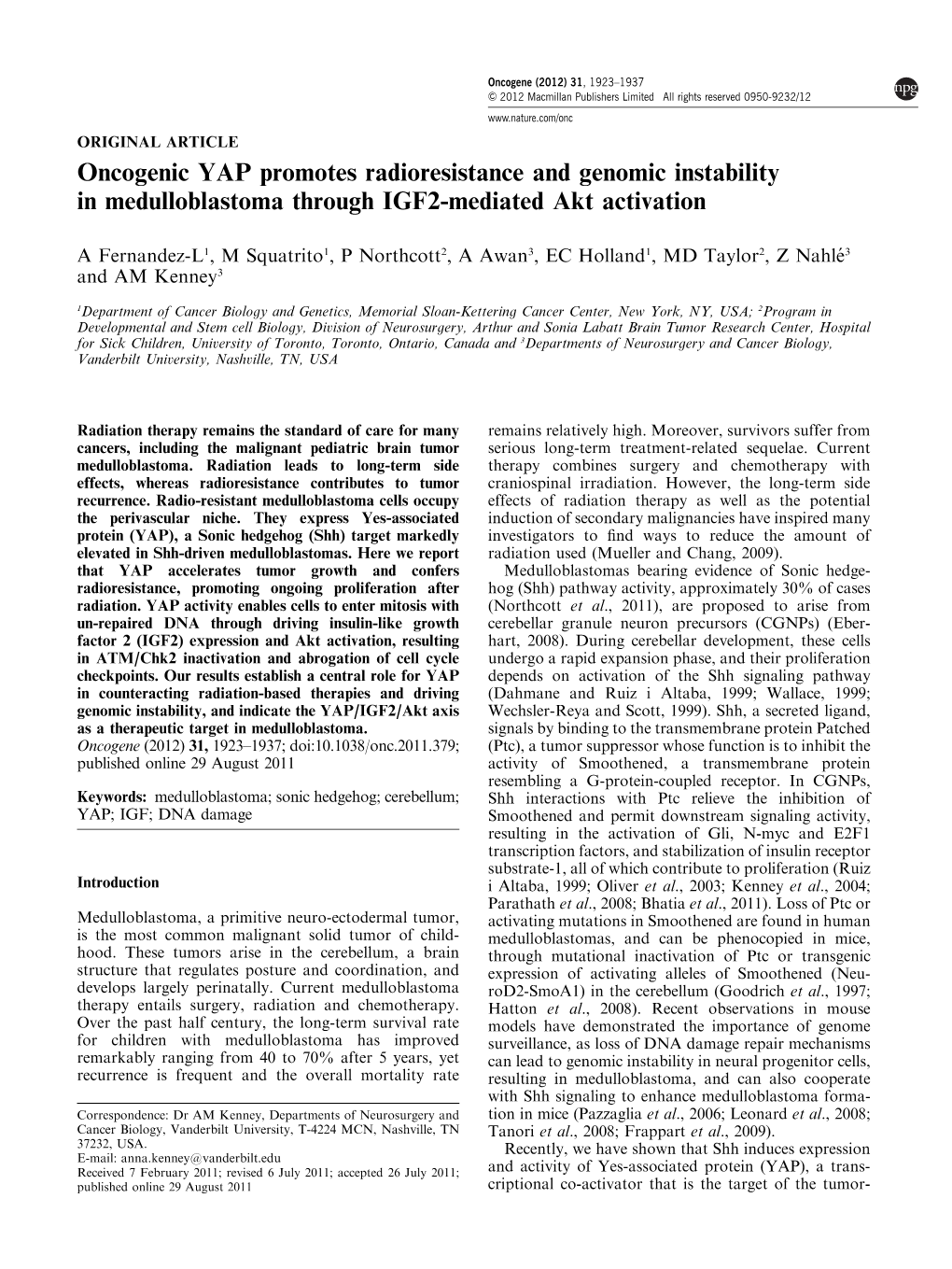 Oncogenic YAP Promotes Radioresistance and Genomic Instability in Medulloblastoma Through IGF2-Mediated Akt Activation