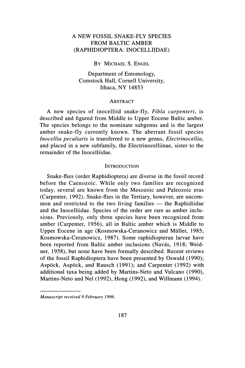 And Carpenter (1992) with Additional Taxa Being Added by Martins-Neto and Vulcano (1990), Martins-Neto and Nel (1992), Hong (1992), and Willmann (1994)