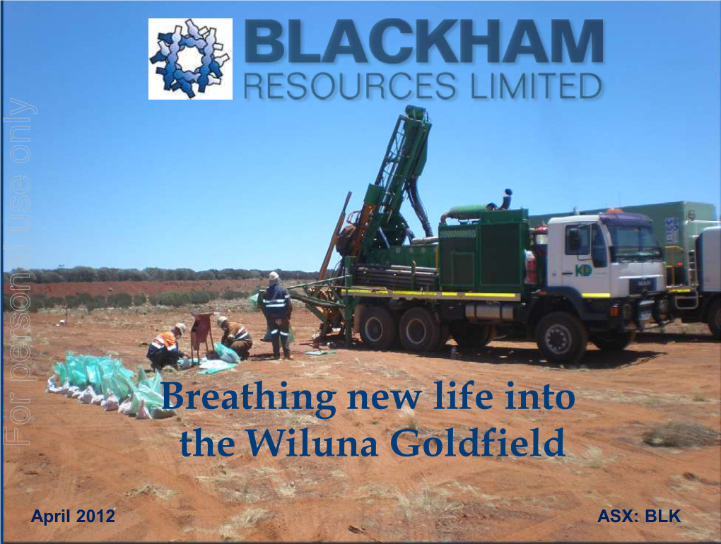 Wiluna Gold Project