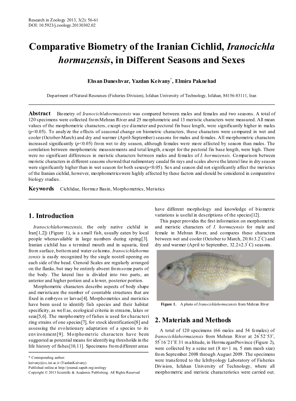 Cichlidae, Hormuz Basin, Morphometrics, Meristics