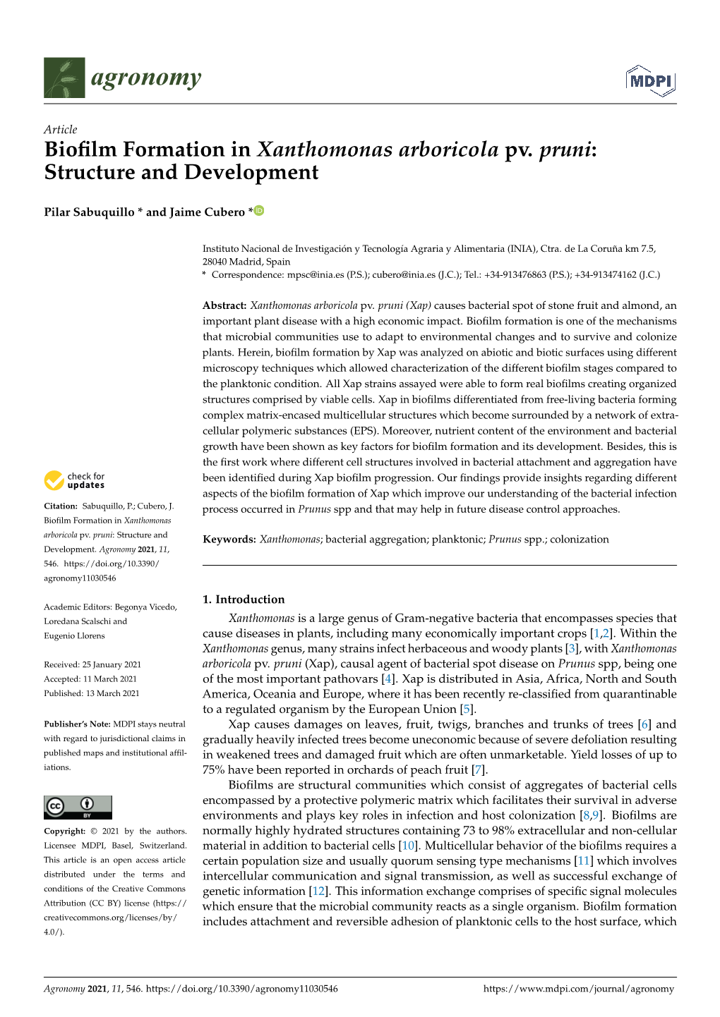 Biofilm Formation in Xanthomonas Arboricola Pv. Pruni