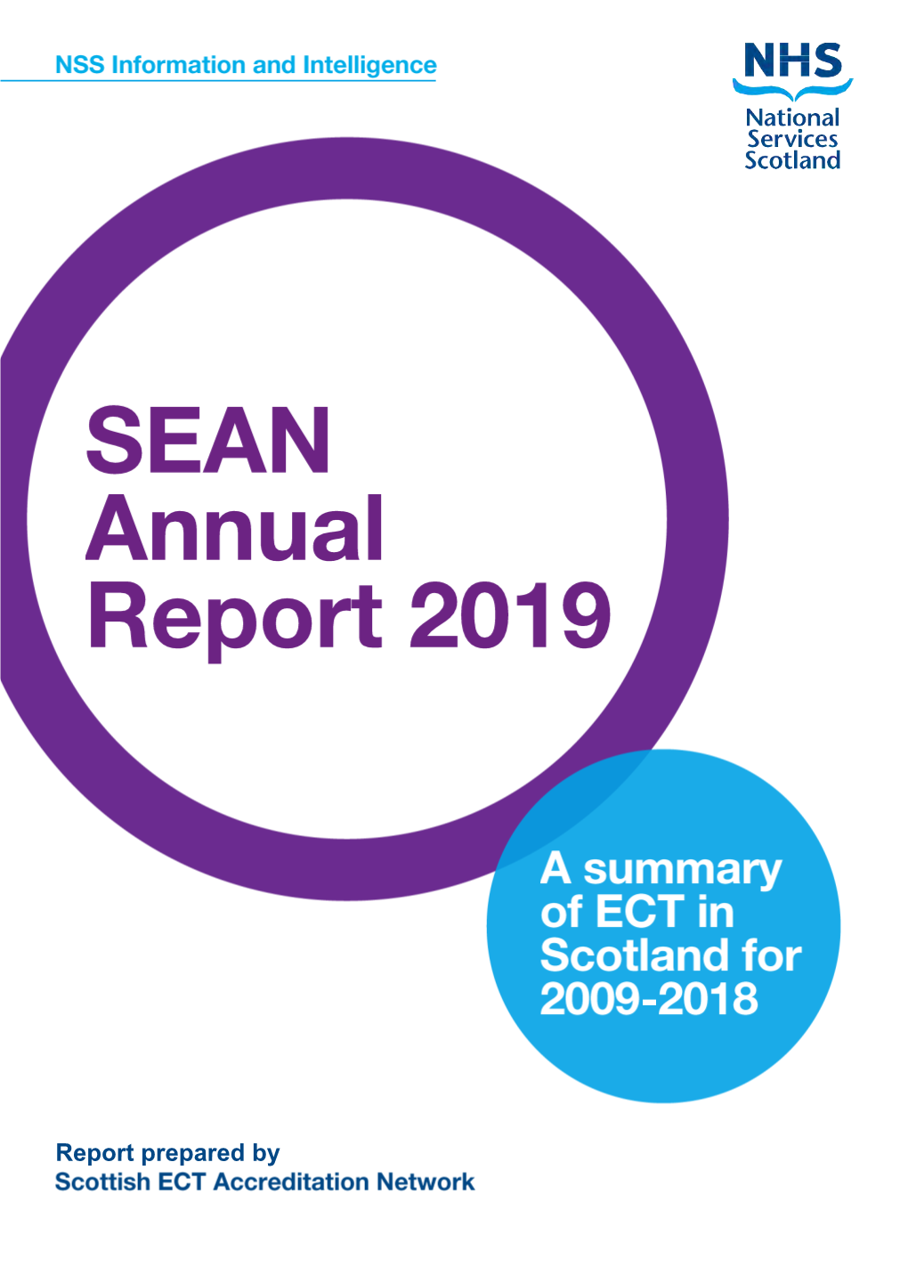 SEAN Annual Report 2019