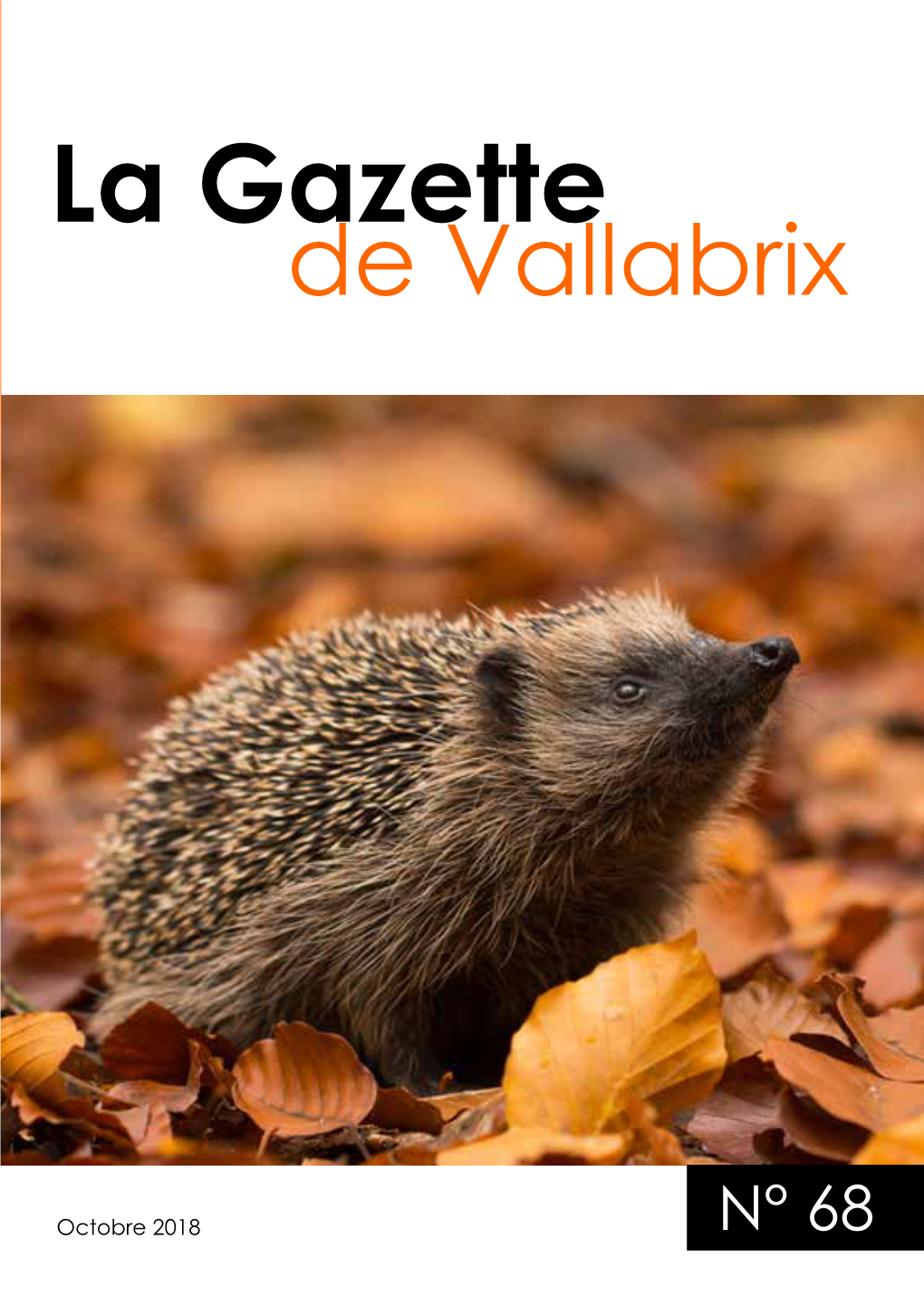 La Gazette De Vallabrix