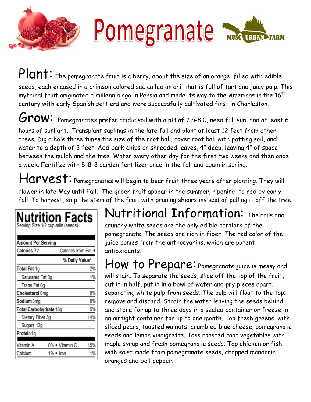 Nutritional Information: the Arils and Crunchy White Seeds Are the Only Edible Portions of the Pomegranate