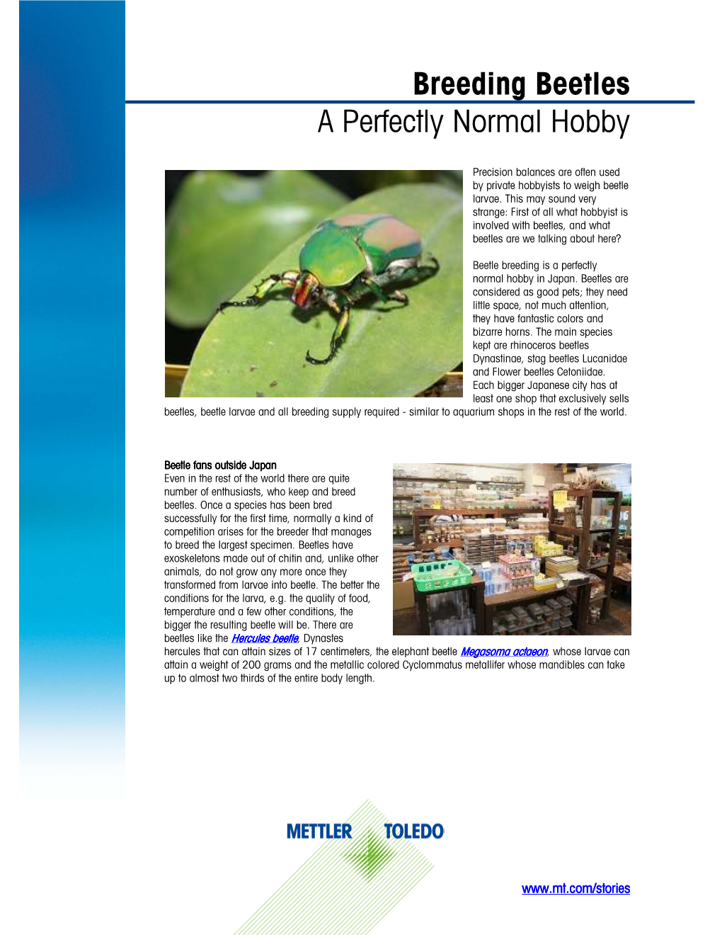 Breeding Beetles a Perfectly Normal Hobby