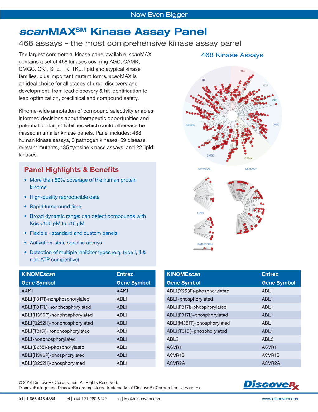 Scanmaxsm Kinase Assay Panel