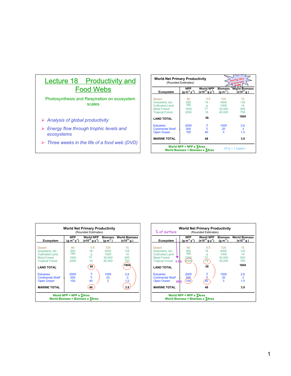 Productivity and Food Webs