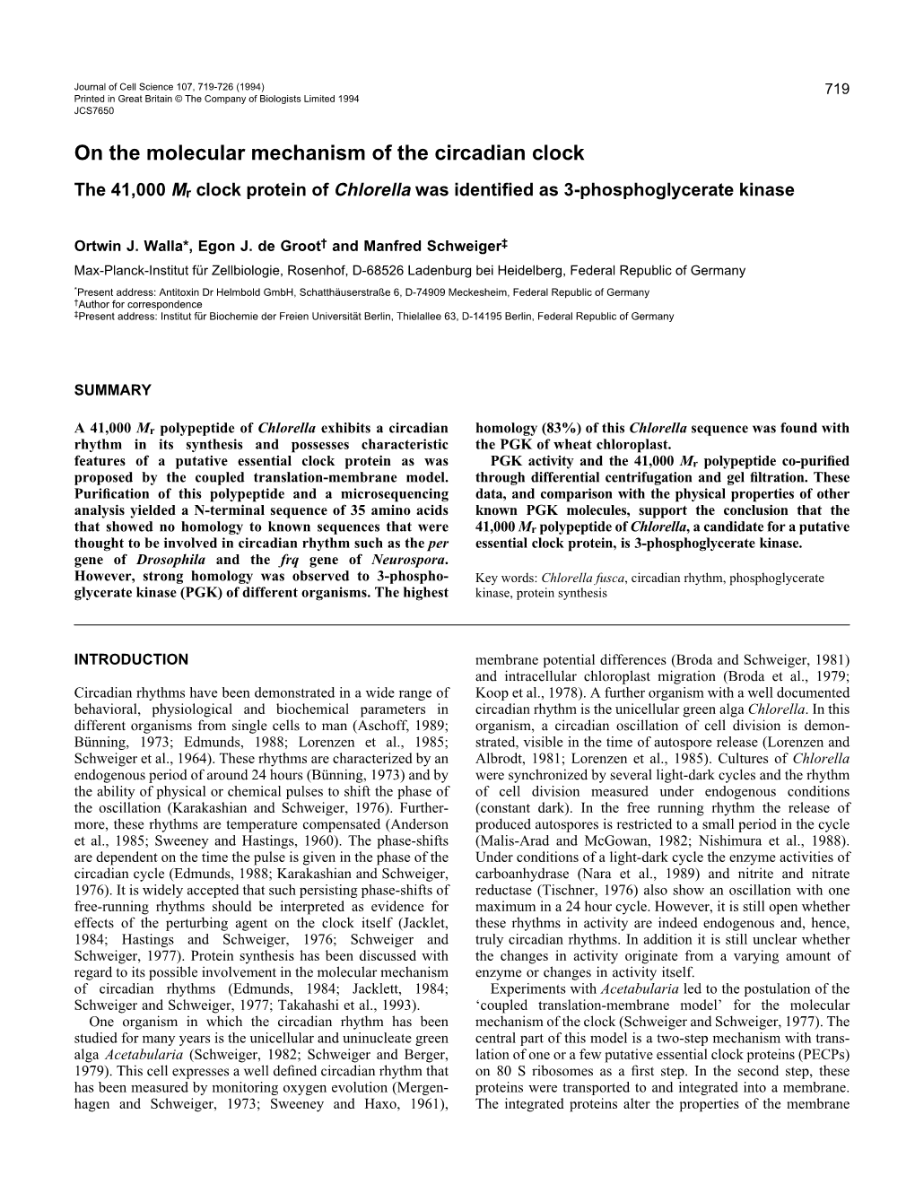 On the Molecular Mechanism of the Circadian Clock