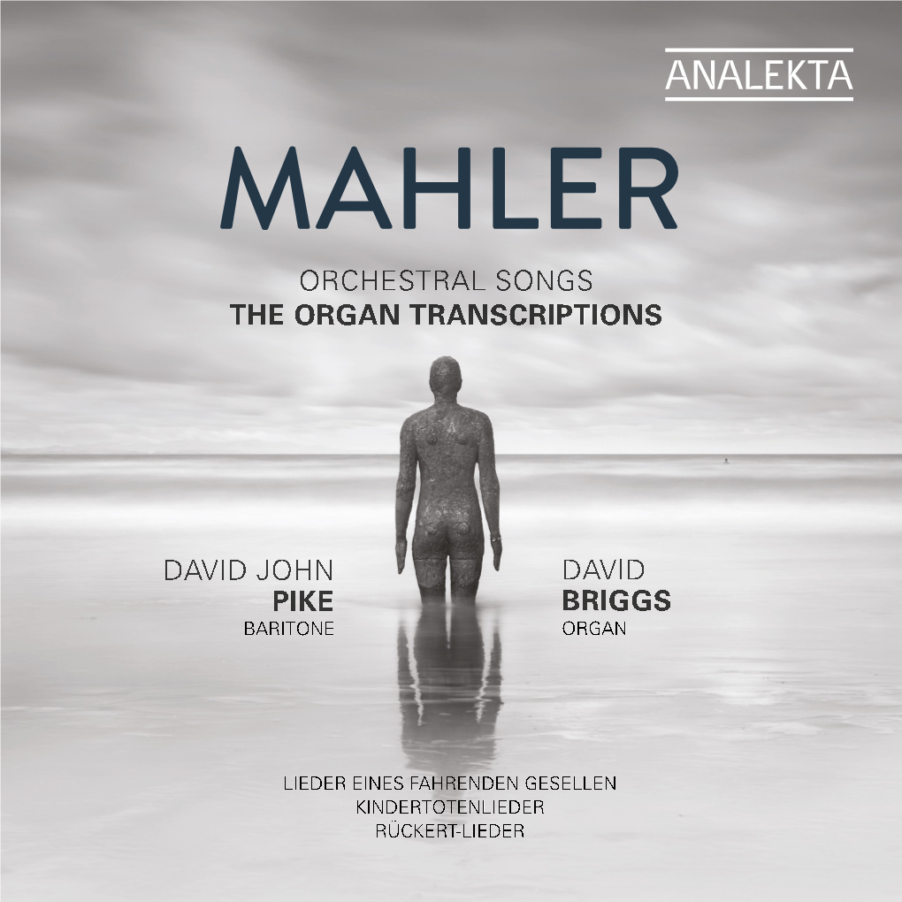 Gustav Mahler’S Songs, Briggs Commented : “I Was Delighted When David Pike Asked Me to Work with Him to Record These