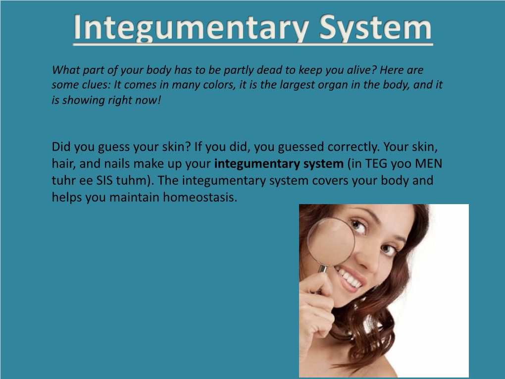 Integumentary System 2018