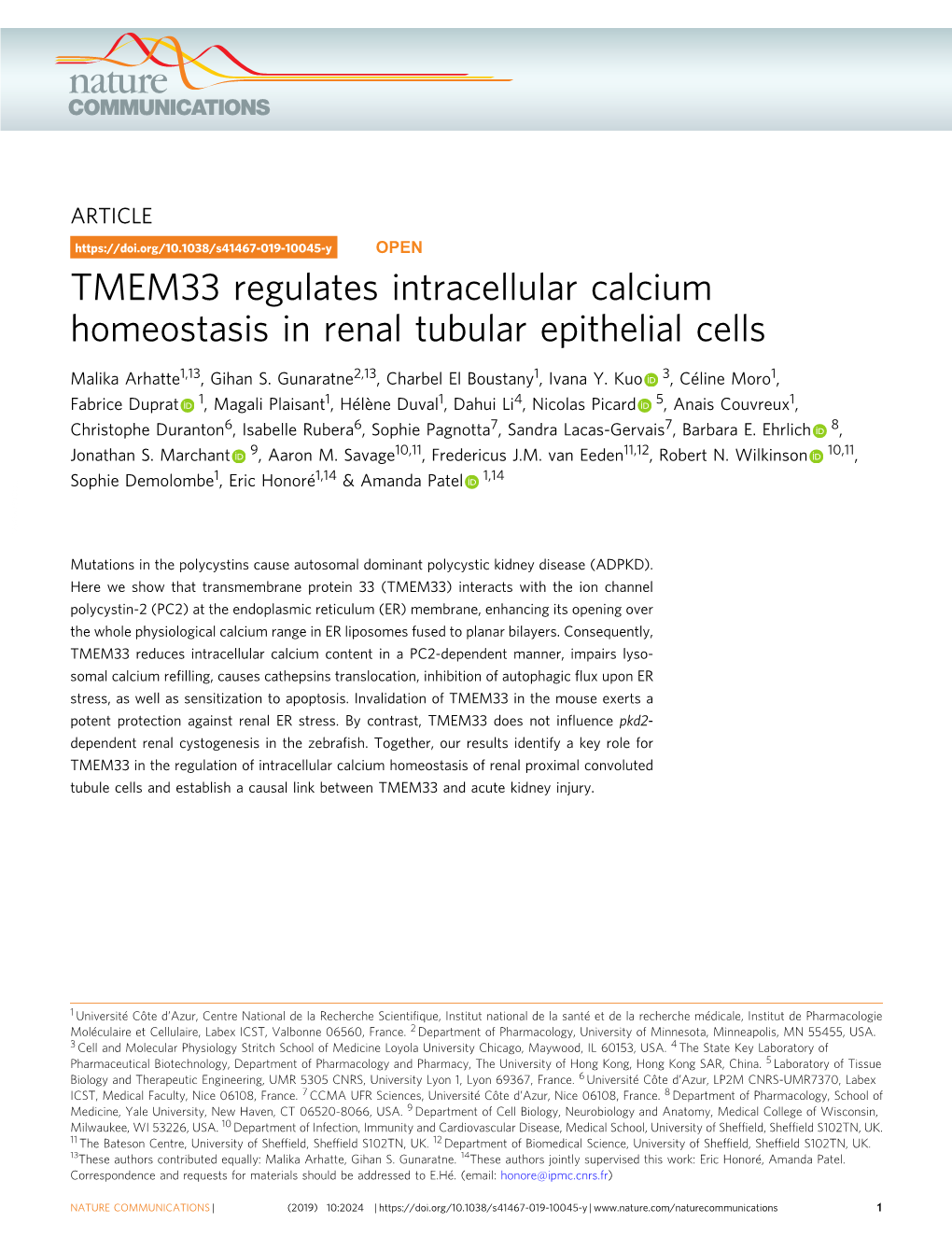 TMEM33 Regulates Intracellular Calcium Homeostasis in Renal Tubular Epithelial Cells