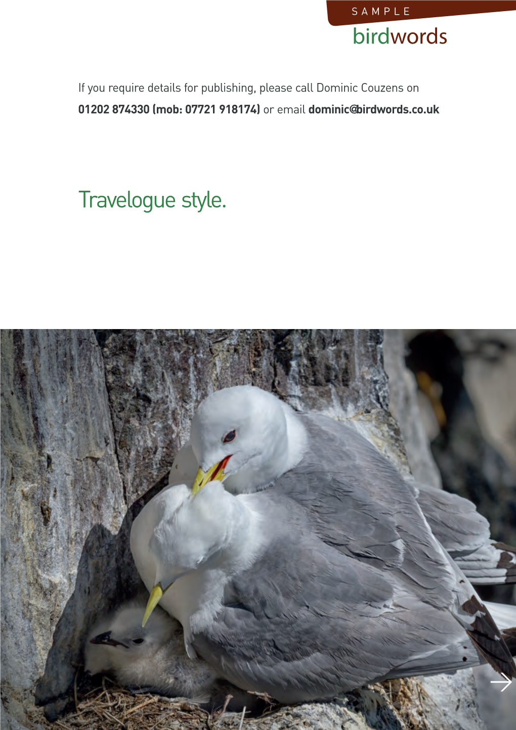 Travelogue Style. &gt;