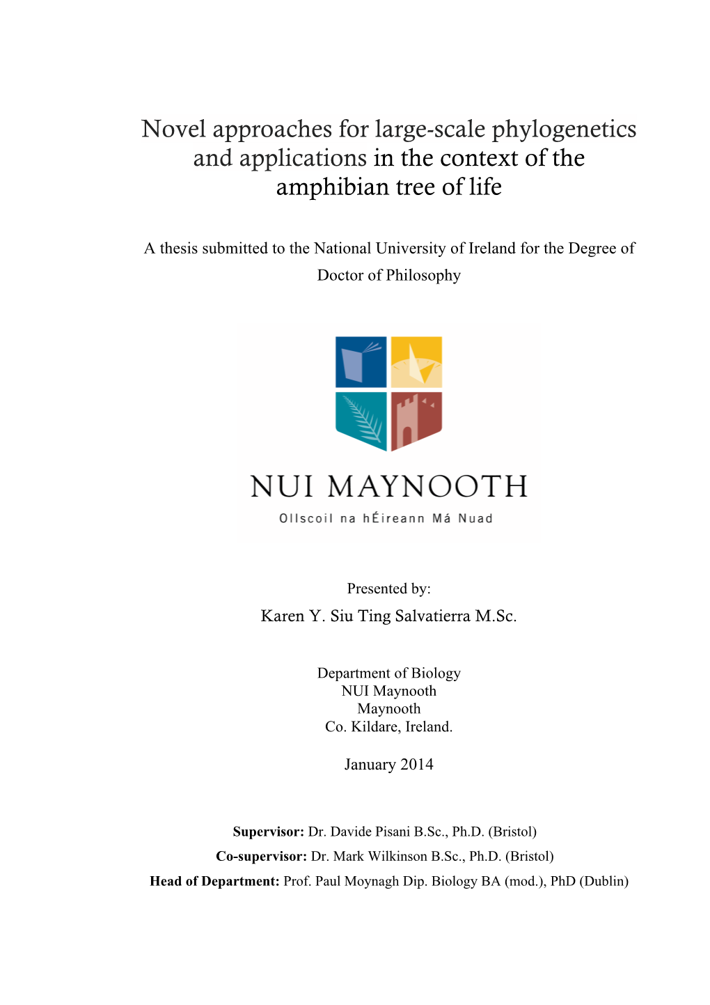 Novel Approaches for Large-Scale Phylogenetics and Applications in the Context of the Amphibian Tree of Life