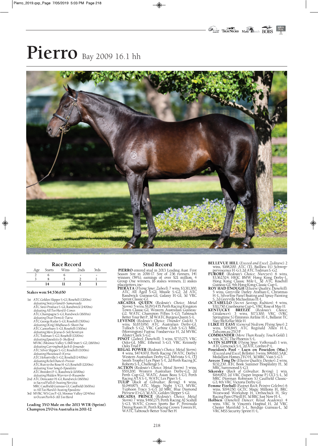 Pierro 2019.Qxp Page 7/05/2019 5:03 PM Page 218