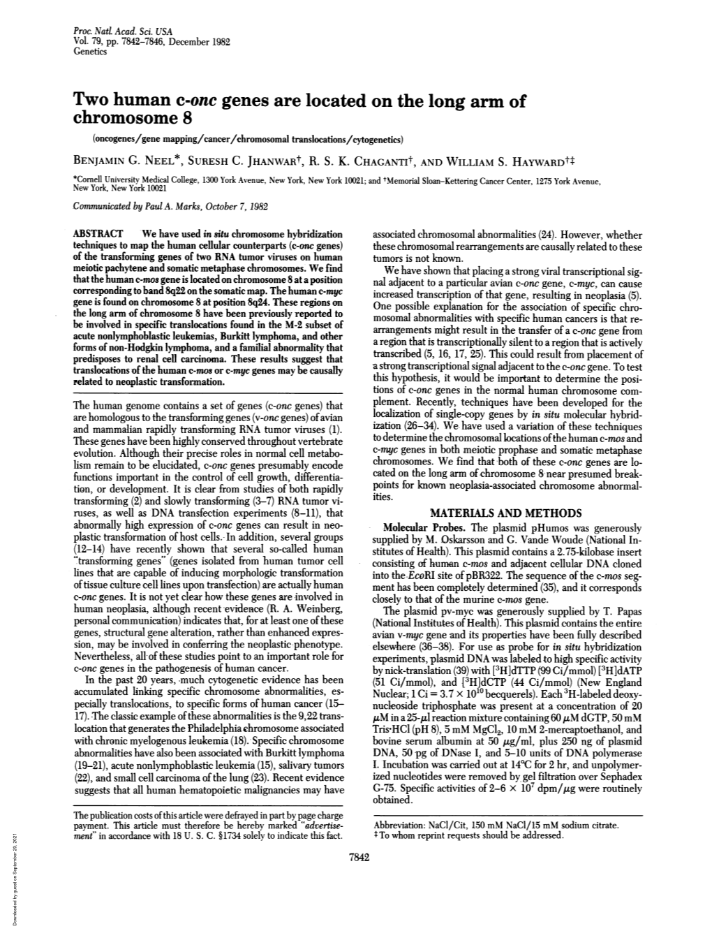 Chromosome 8 (Oncogenes/Gene Mapping/Cancer/Chromosomal Translocations/Cytogenetics) BENJAMIN G