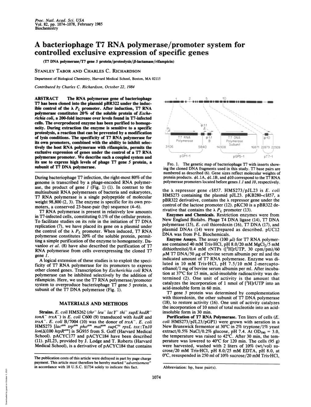 A Bacteriophage T7 RNA Polymerase/Promoter System