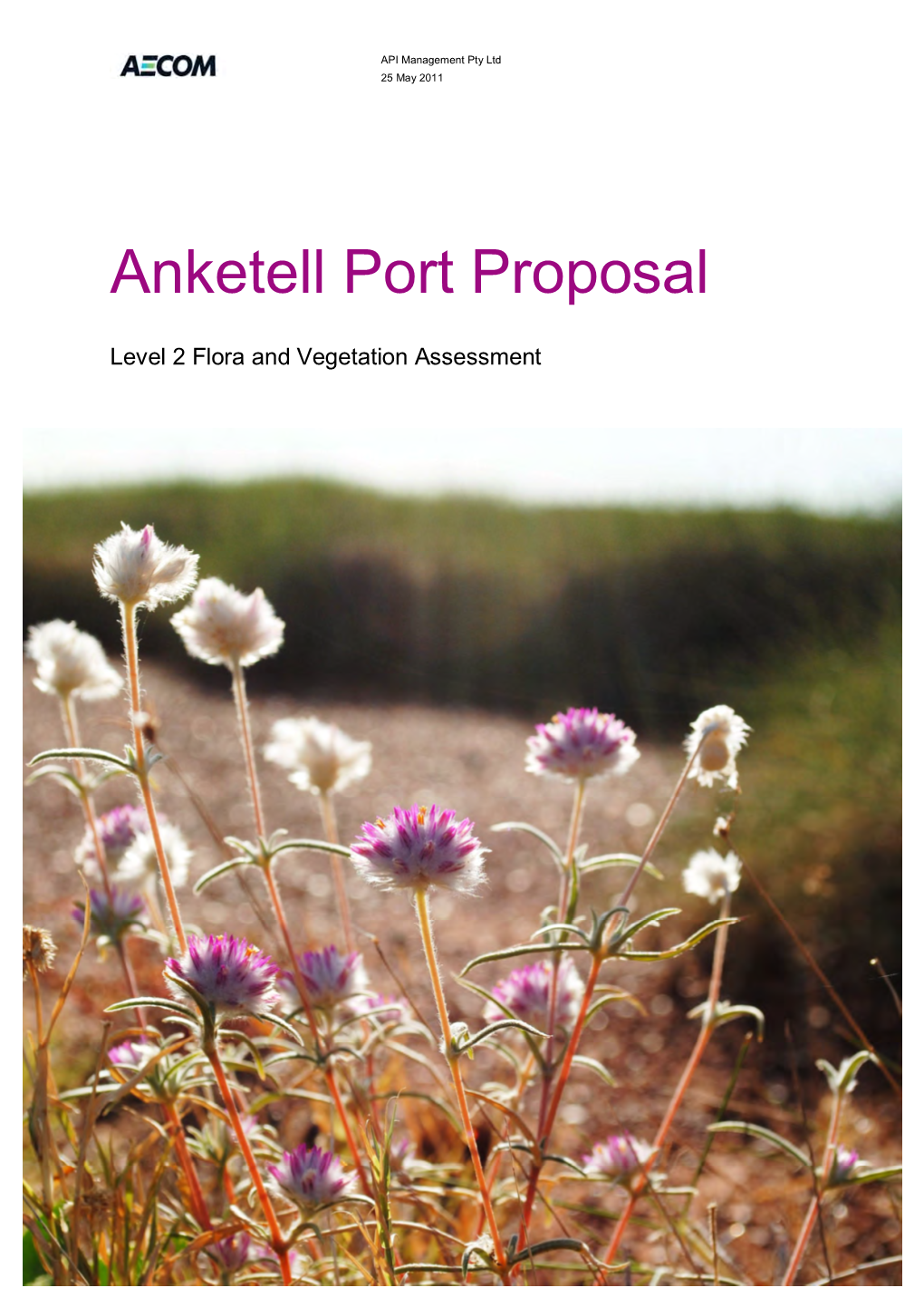 Anketell Port Proposal