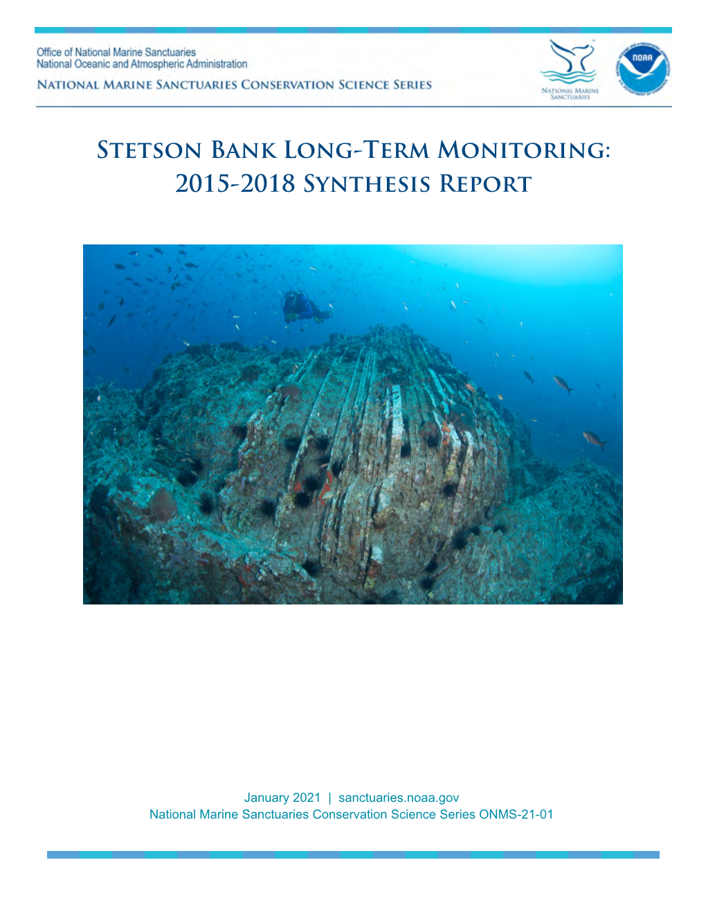 Stetson Bank Long-Term Monitoring: 2015-2018 Synthesis Report