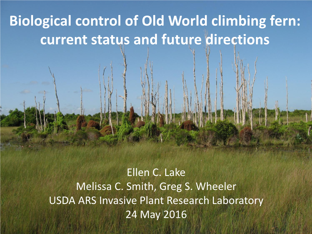 Biological Control of Old World Climbing Fern: Current Status and Future Directions