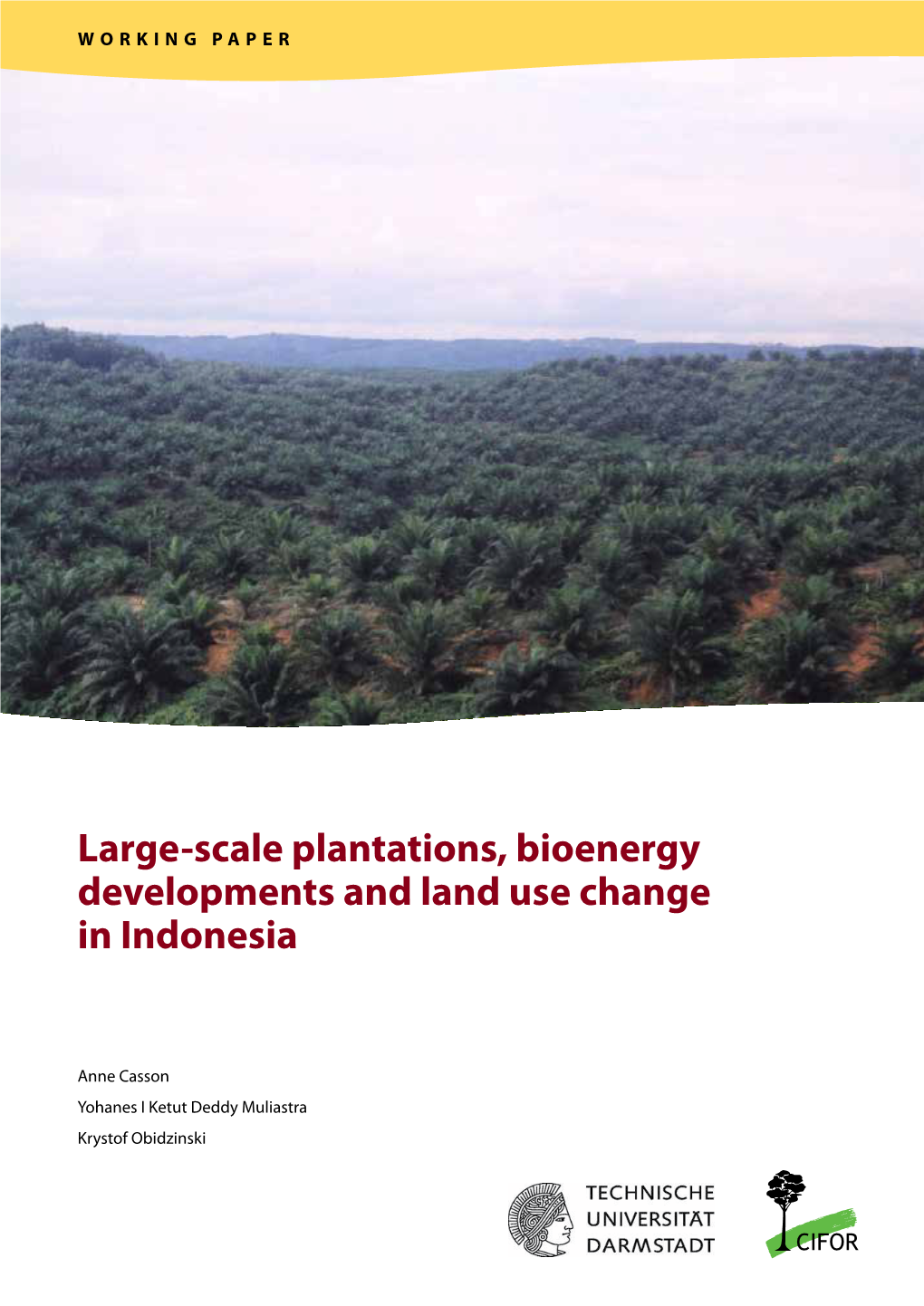 Large-Scale Plantations, Bioenergy Developments and Land Use Change in Indonesia