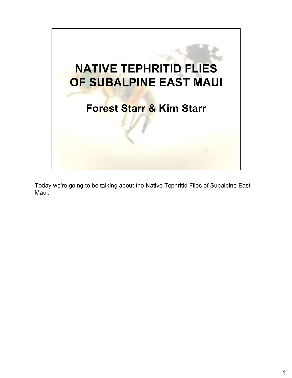 Native Tephritid Flies of Subalpine East Maui